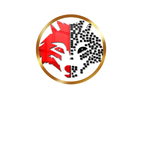 Direnzic Technology Consulting Group